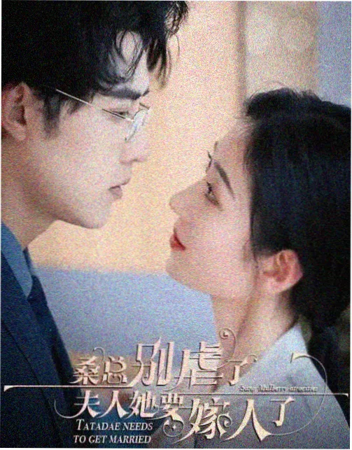 盐镇谜案 小说封面