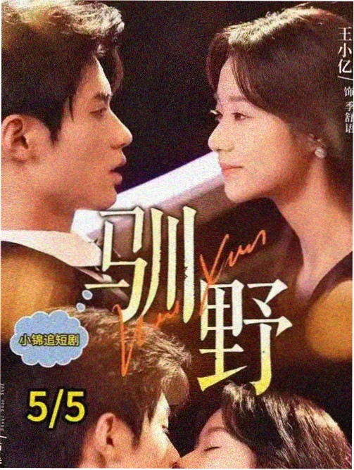 沉默的刻度 小说封面