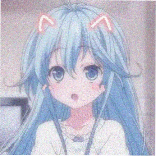 读者冬青的头像